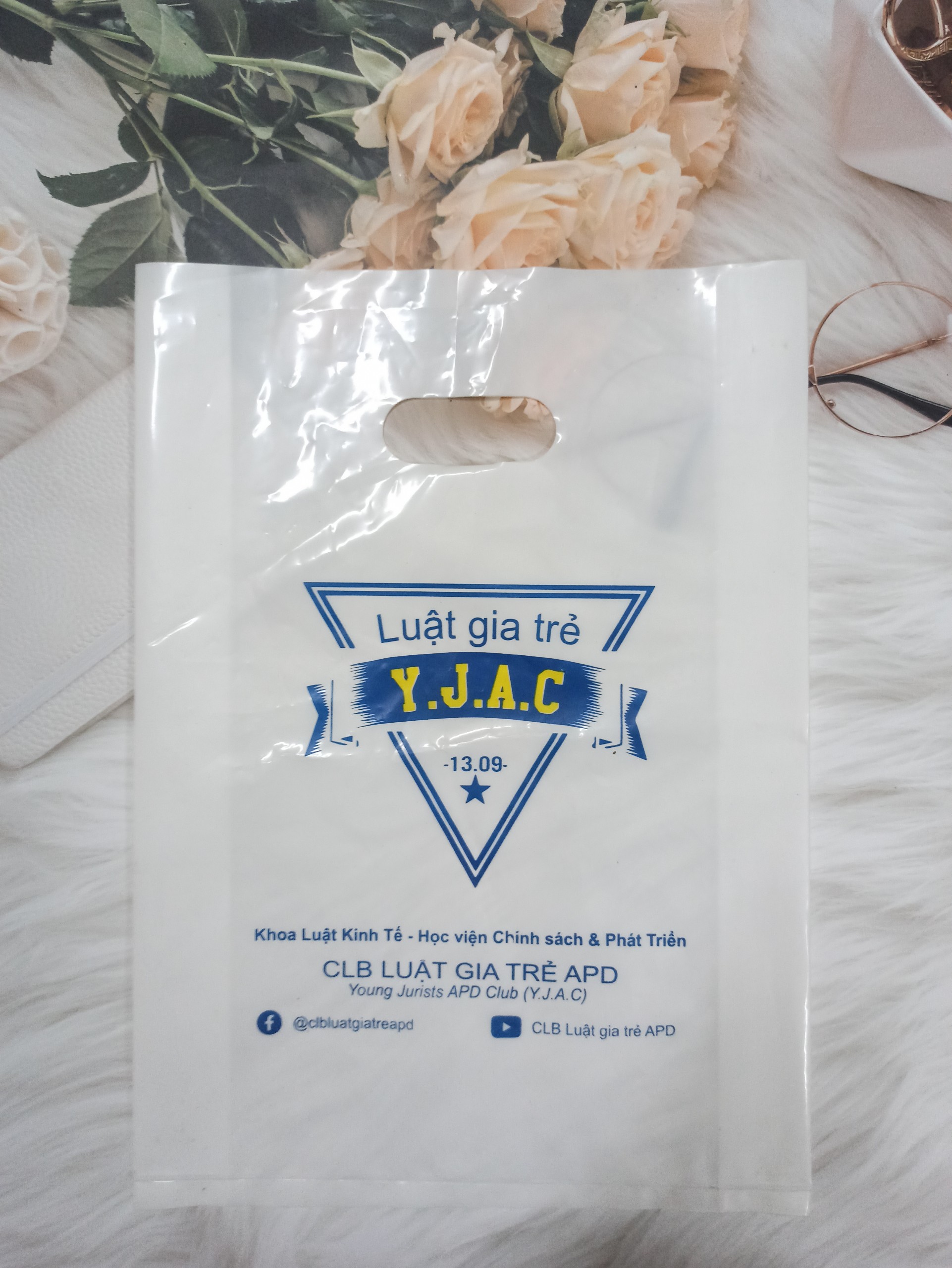 Túi nilon ( PE ) đục lỗ 20x30cm