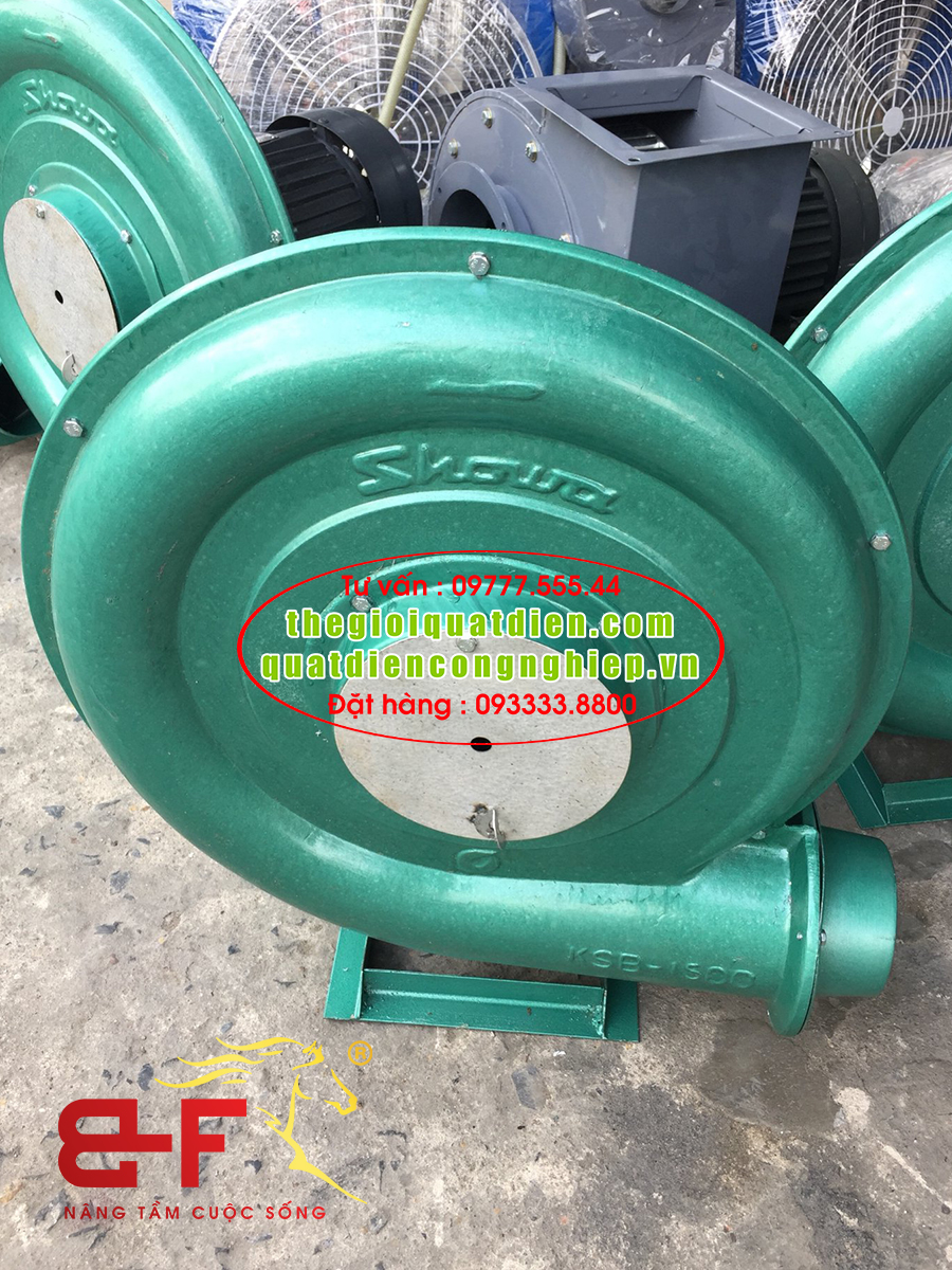 Quạt sò nhôm thổi lò hơi công nghiệp 5HP