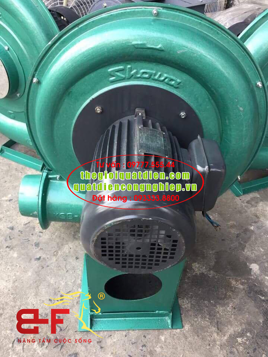 Quạt sò nhôm thổi lò hơi công nghiệp 5HP