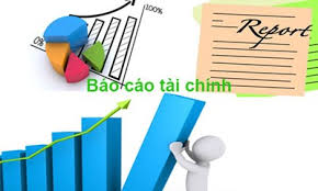 Báo cáo tài chính năm 2020