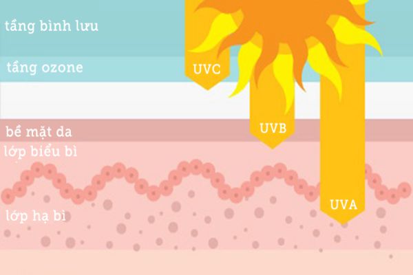 các loại tia cực tím