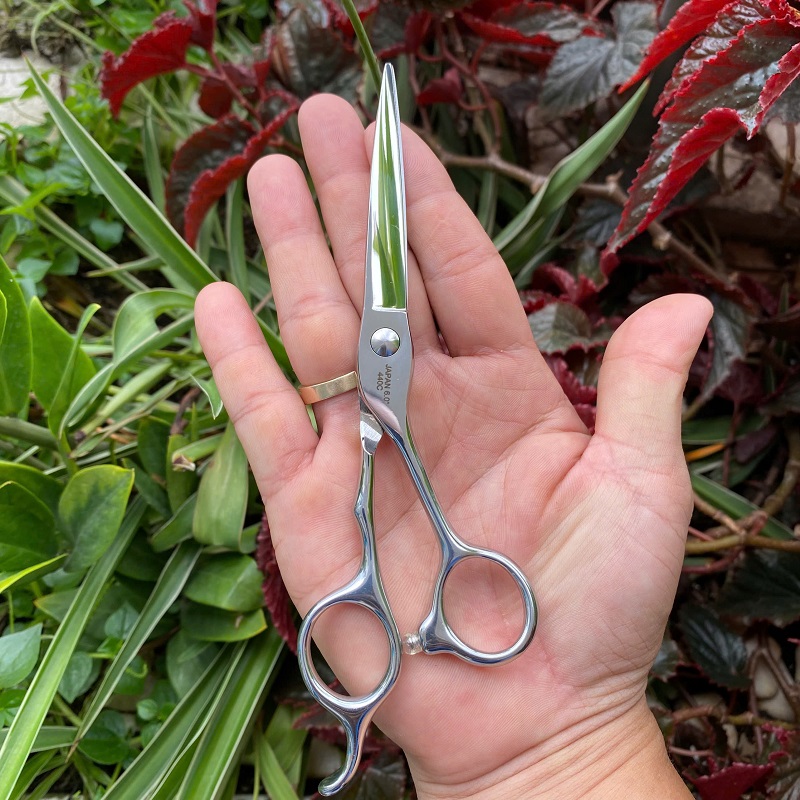 Kéo Cắt Tóc Wahl K97 6Inch