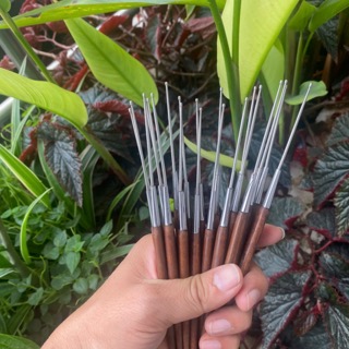 Cây Đánh Mắt Cán Gỗ