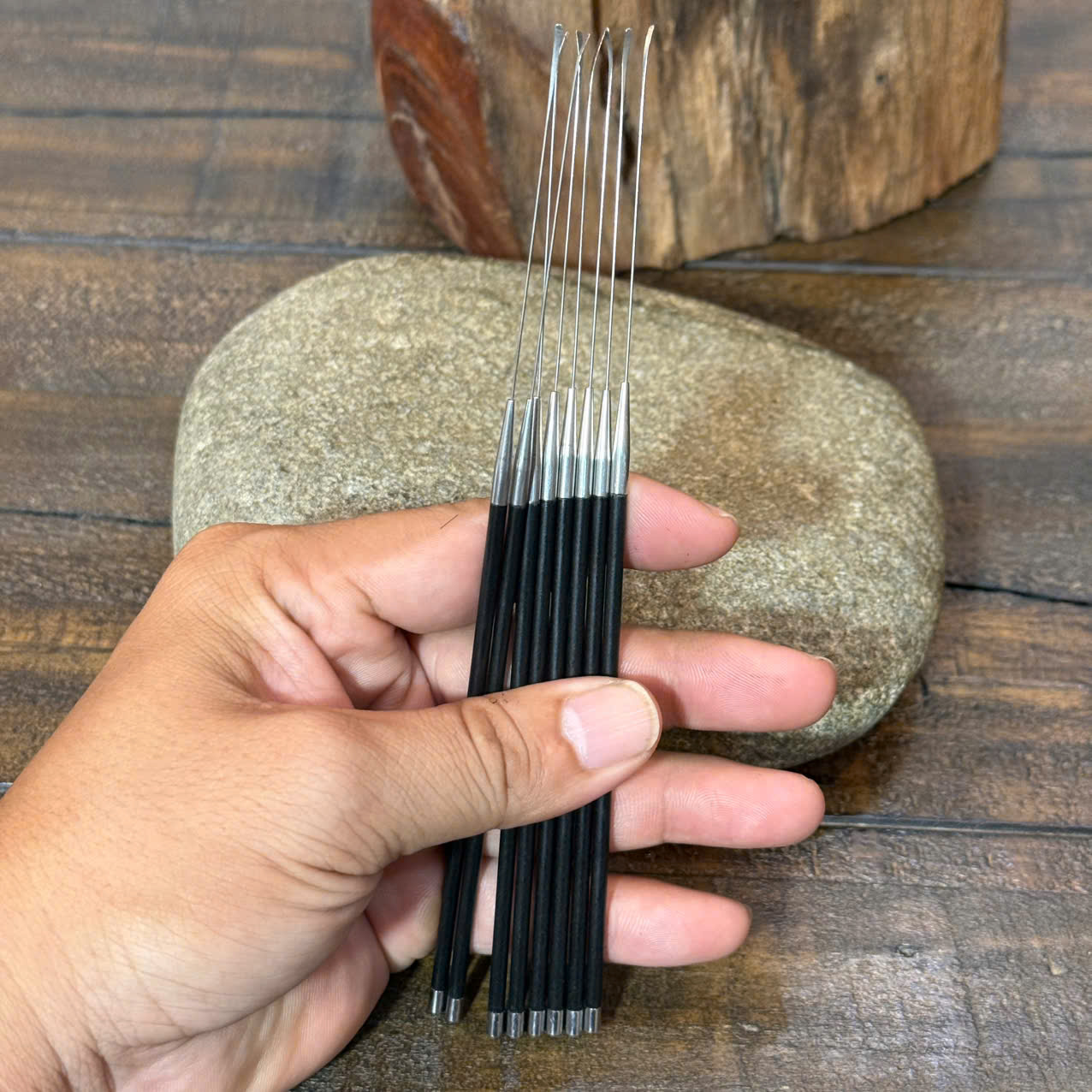 Cây Nại Ráy Tại Ráy Tai Siêu Nhỏ Ráy Màng Nhỉ