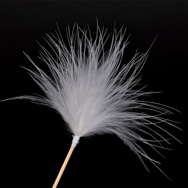 Lông Ngỗng Ngoáy Tai