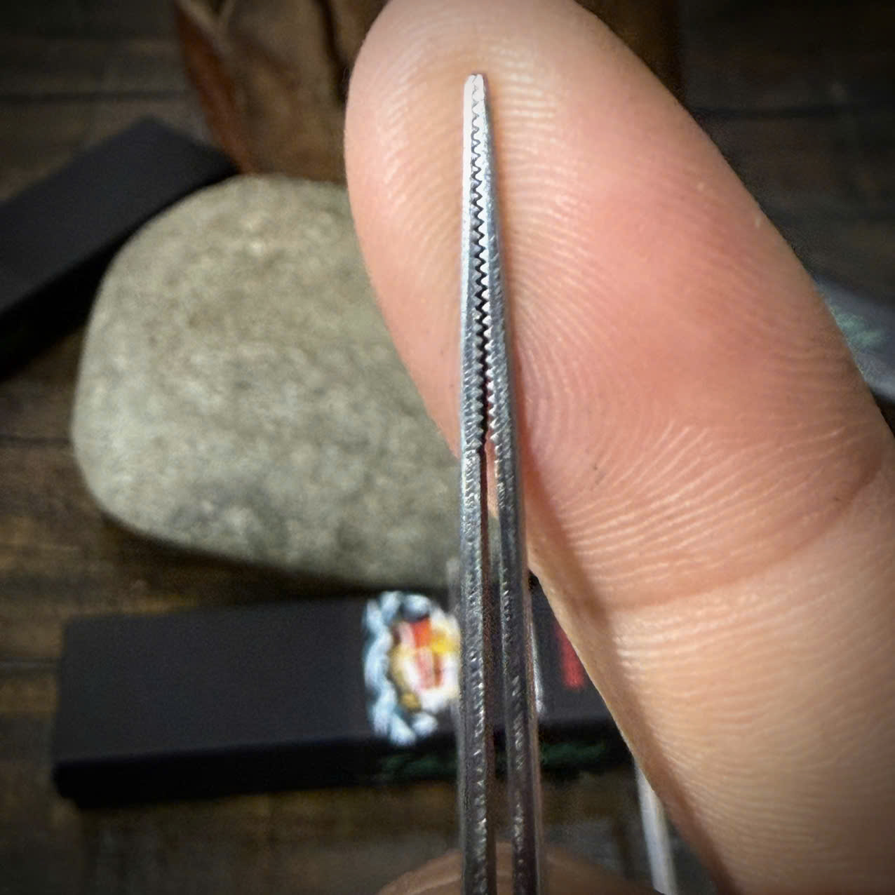 Nhíp Gắp Ráy Tai TASHIMURA