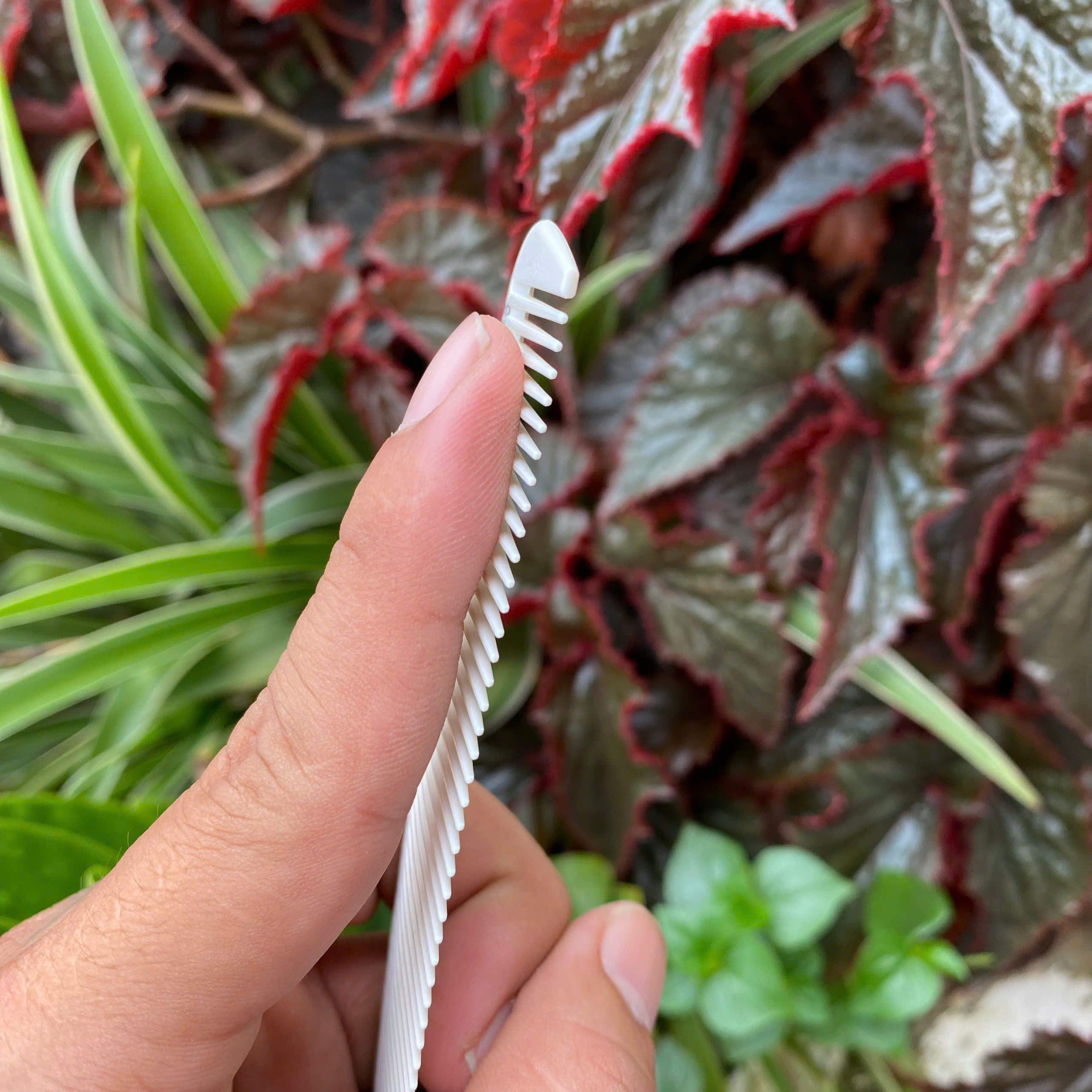 Lược Căt Tóc G20 DONGBEN