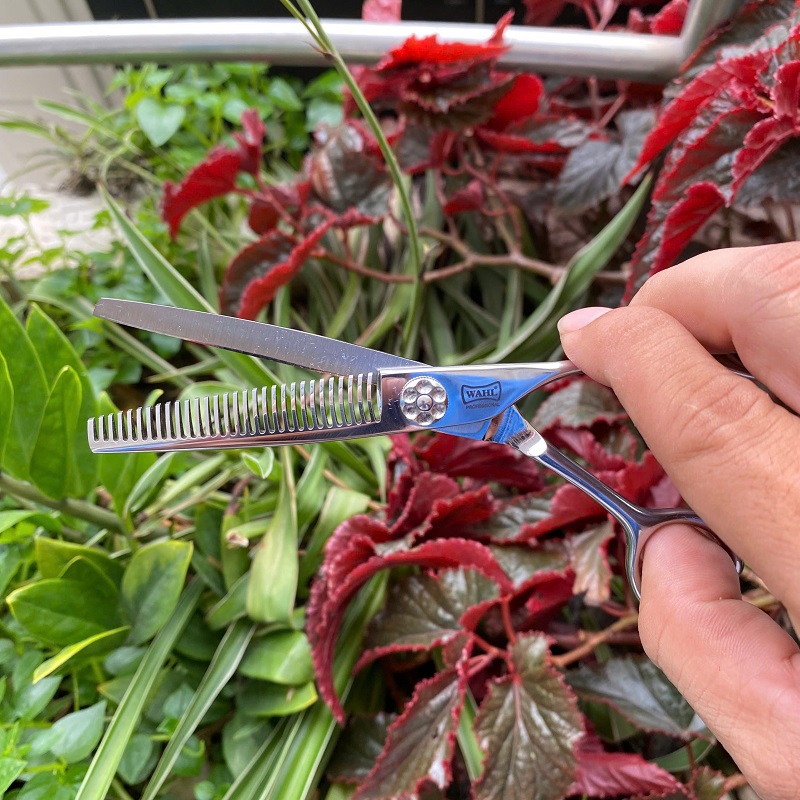 Kéo Cắt Tóc Wahl K97 6Inch