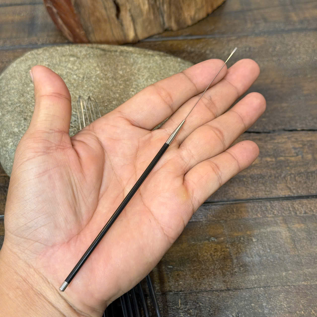 Cây Nại Ráy Tại Ráy Tai Siêu Nhỏ Ráy Màng Nhỉ