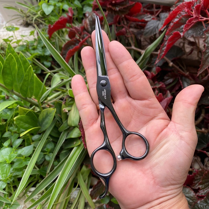 Kéo Cắt Tóc Wahl K95 6Inch