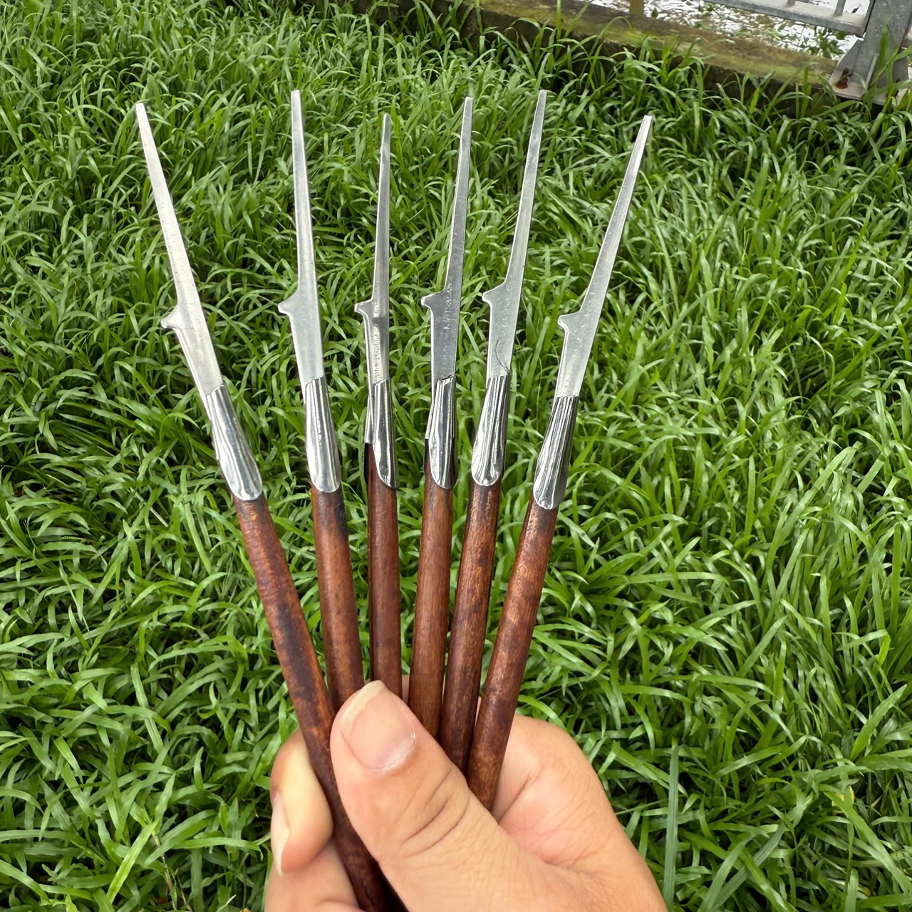 Cây Cạo Lông Tai Đã Mài Nhỏ Đầu