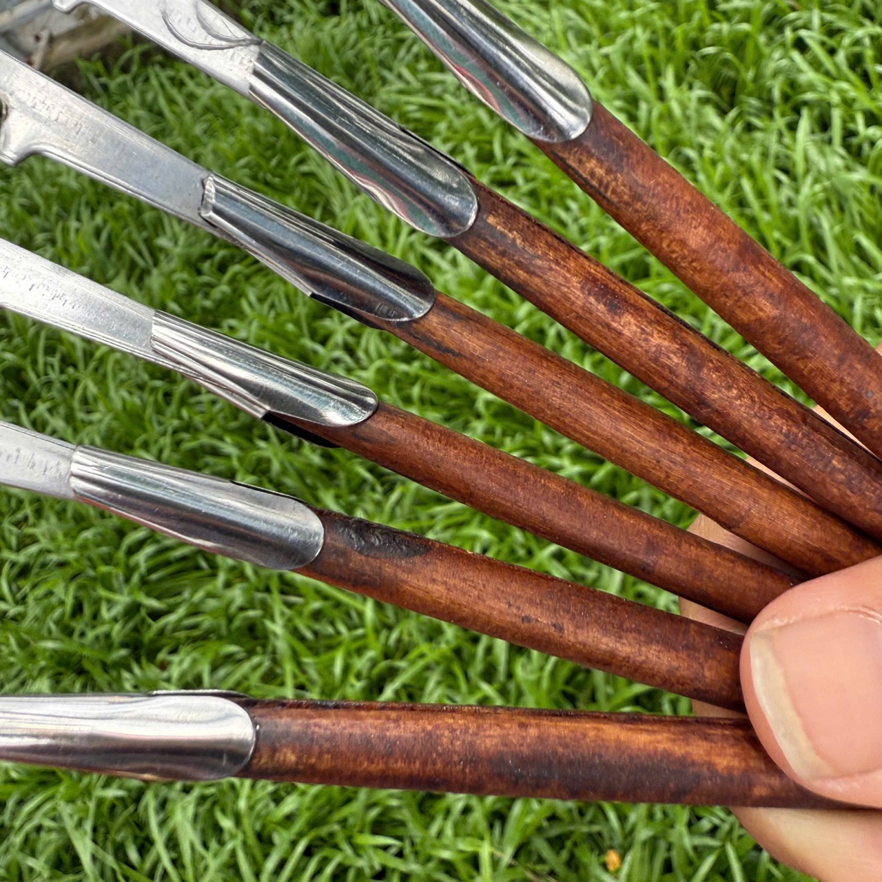 Cây Cạo Lông Tai Đã Mài Nhỏ Đầu