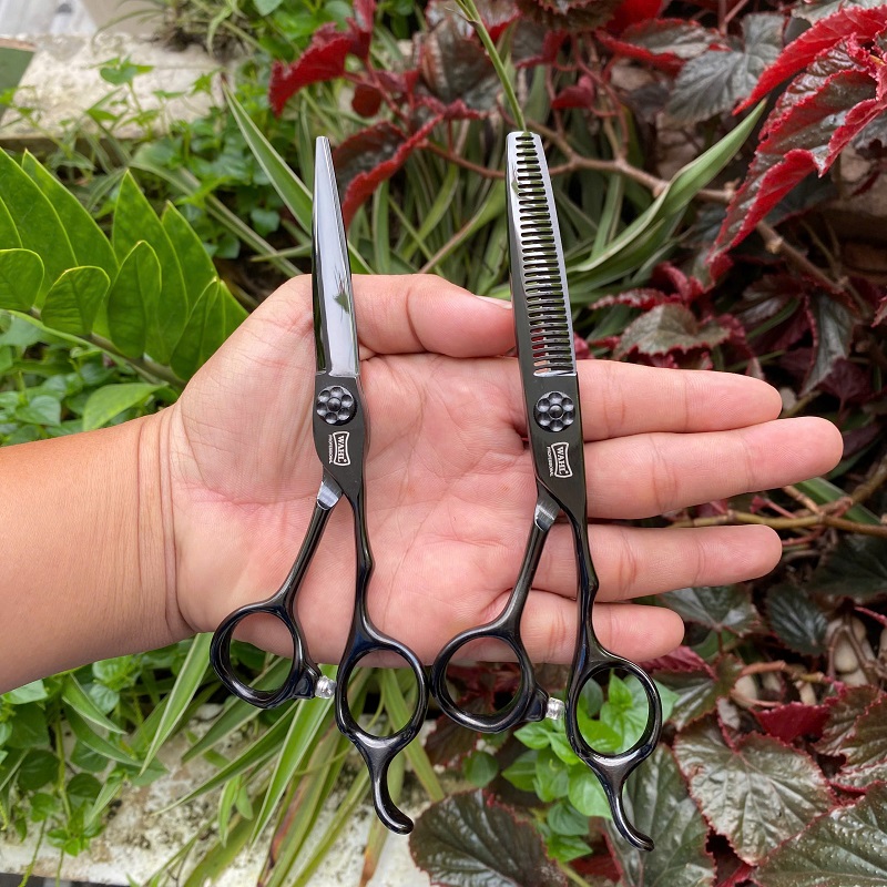 Kéo Cắt Tóc Wahl K95 6Inch