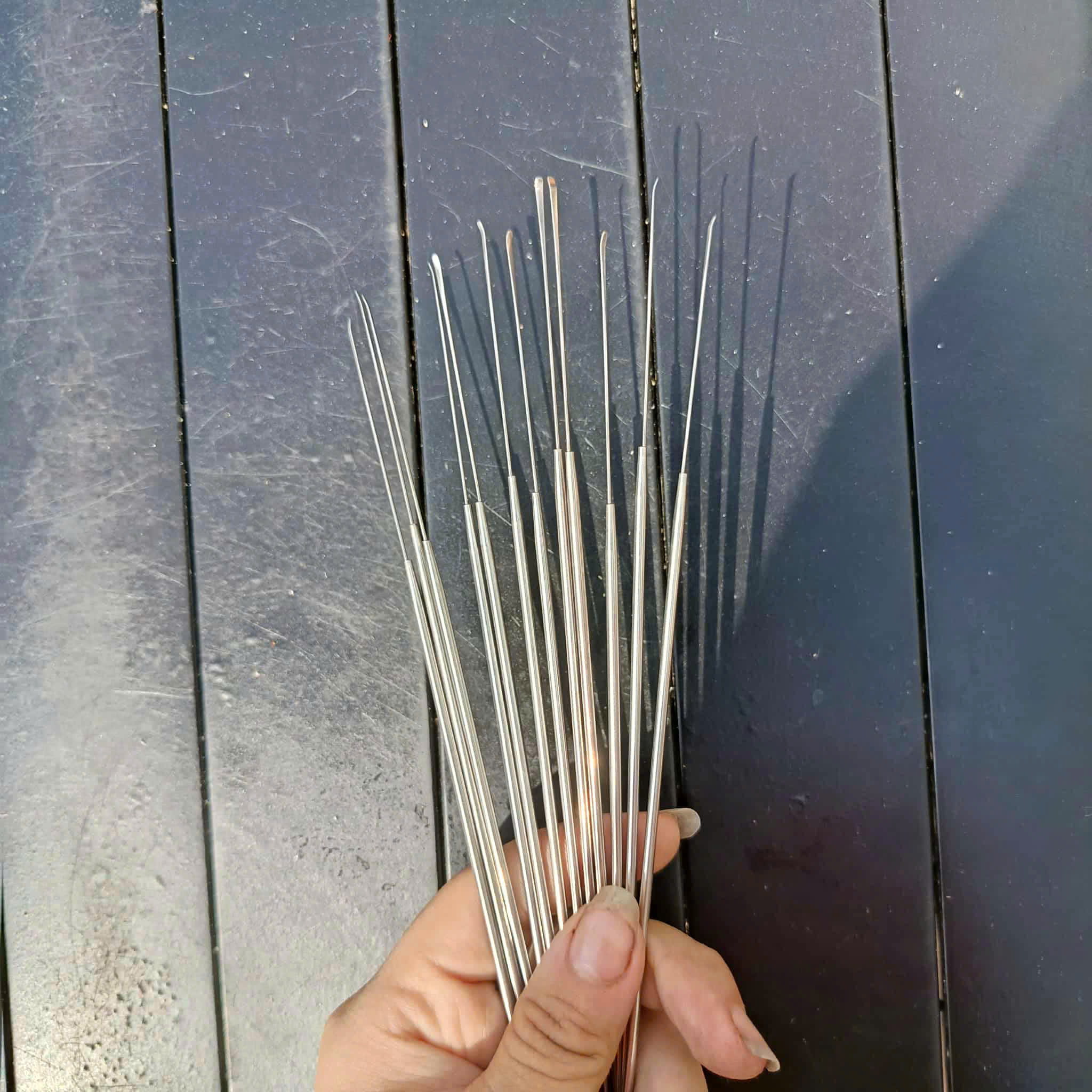 Cây Nại Ráy Tai Siêu Nhỏ 18.5cm