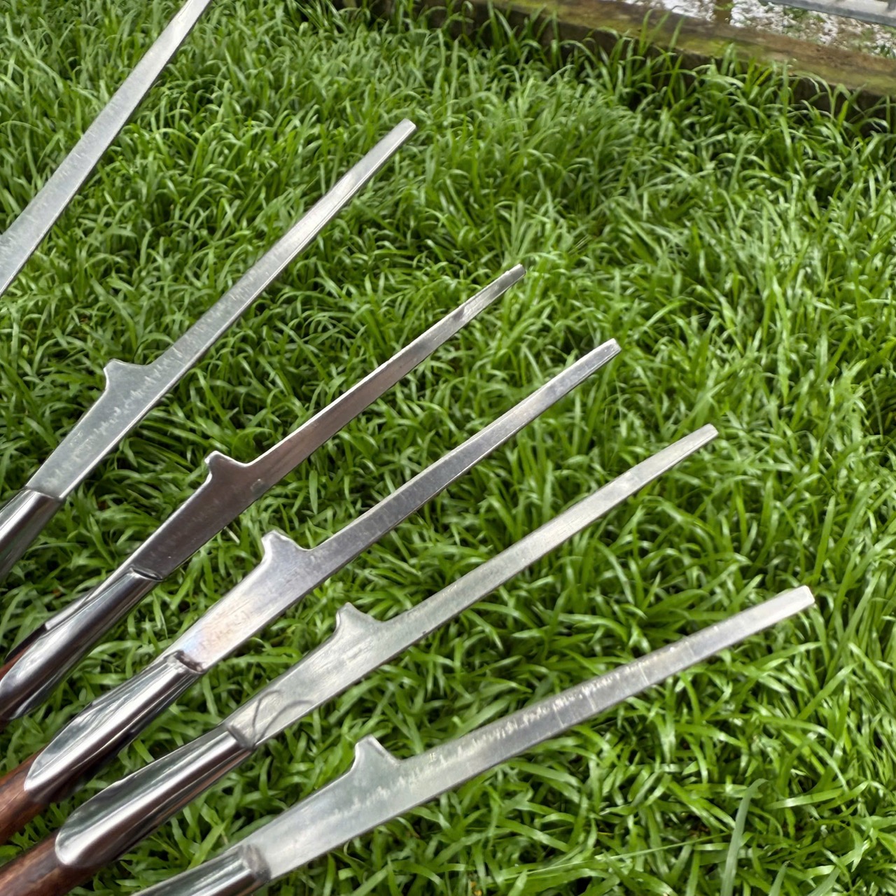 Cây Cạo Lông Tai Đã Mài Nhỏ Đầu