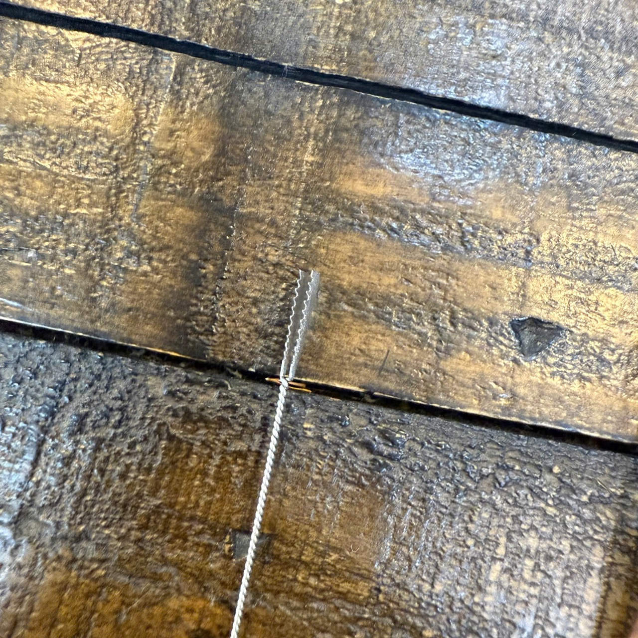 Cây Càn Cua Láy Ráy Tai