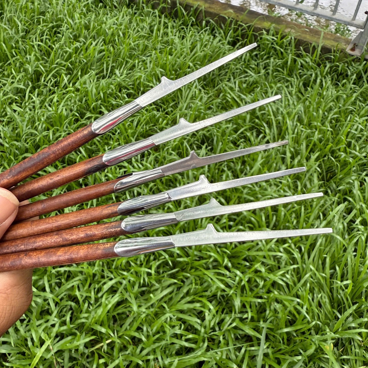 Cây Cạo Lông Tai Đã Mài Nhỏ Đầu