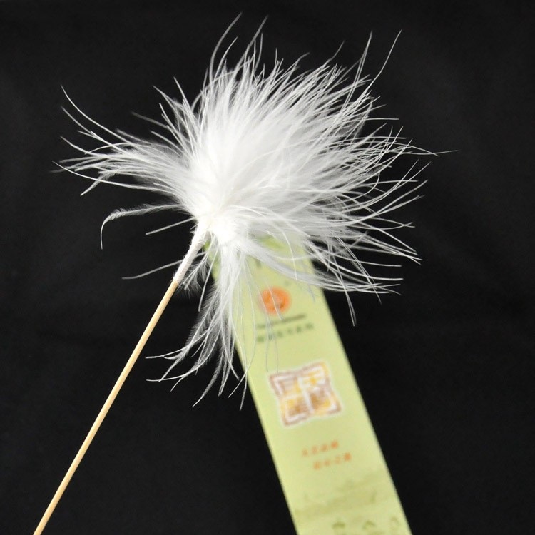 Lông Ngỗng Ngoáy Tai