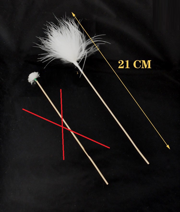 Lông Ngỗng Ngoáy Tai