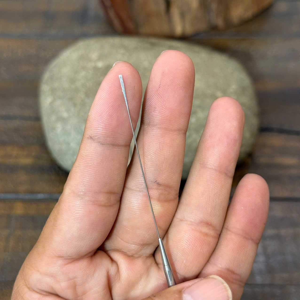 Cây Nại Ráy Tại Ráy Tai Siêu Nhỏ Ráy Màng Nhỉ