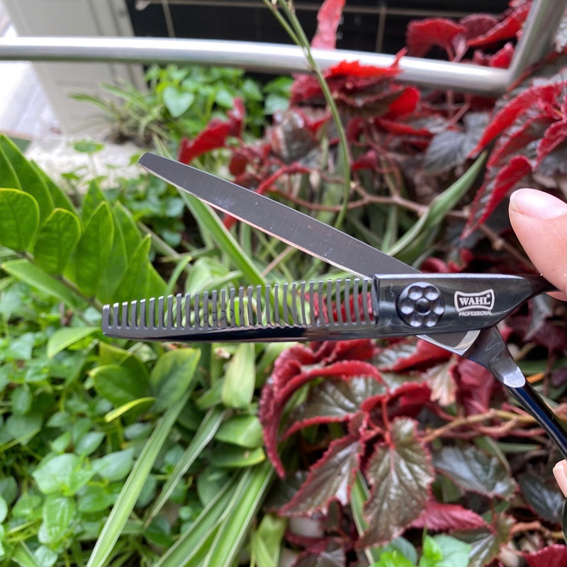 Kéo Cắt Tóc Wahl K95 6Inch