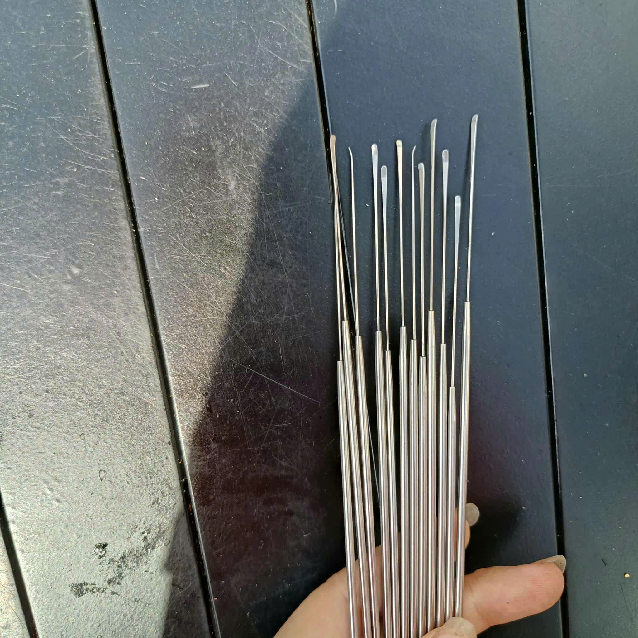 Cây Nại Ráy Tai Siêu Nhỏ 18.5cm