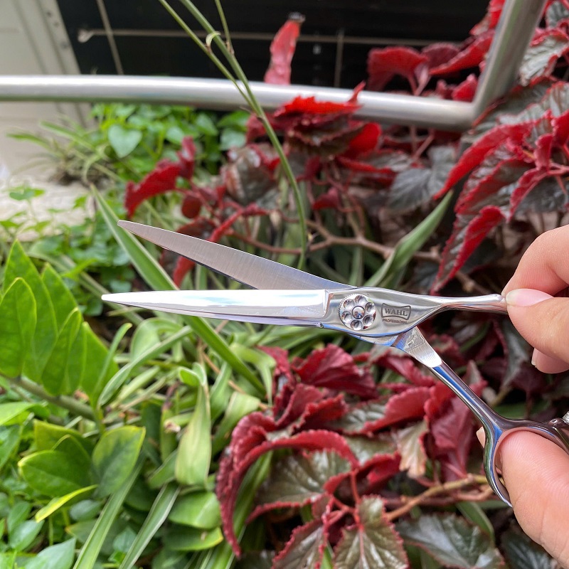 Kéo Cắt Tóc Wahl K97 6Inch