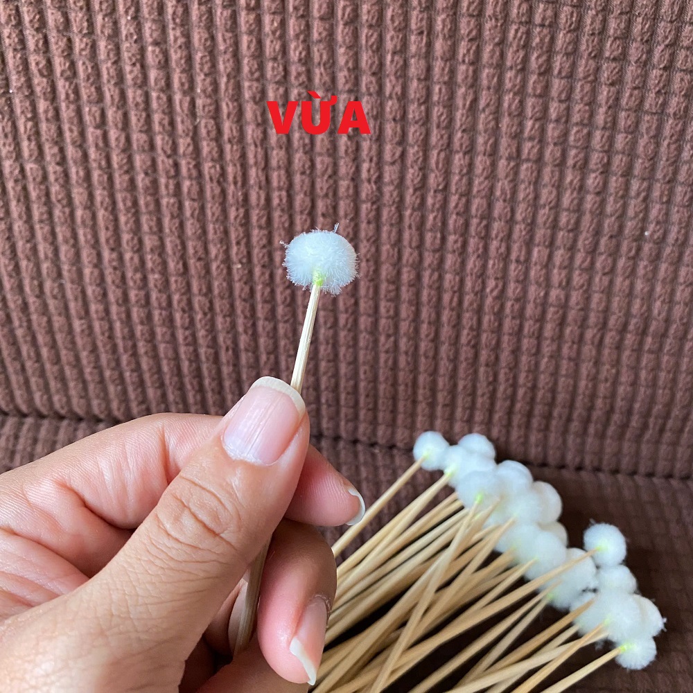 Combo 10 Cây  Bông Ray Tai 751