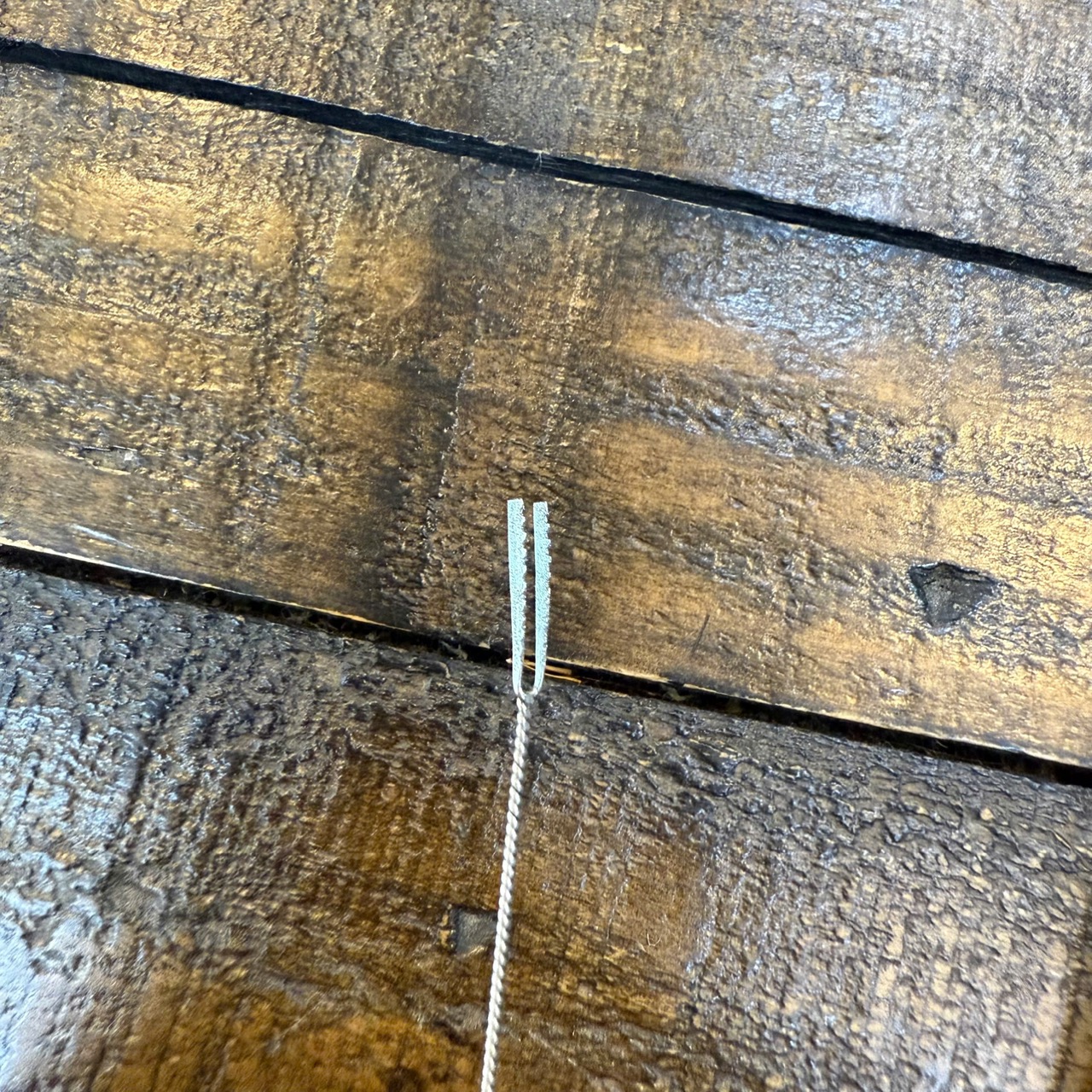 Cây Càn Cua Láy Ráy Tai