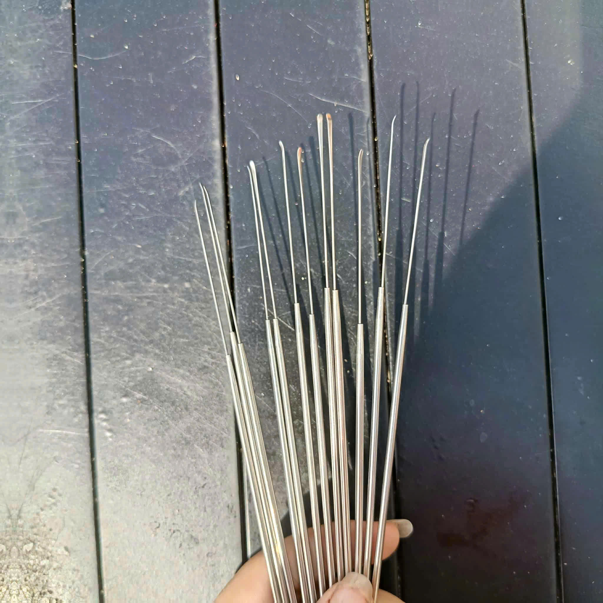 Cây Nại Ráy Tai Siêu Nhỏ 18.5cm