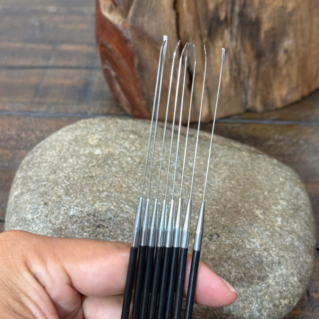 Cây Nại Ráy Tại Ráy Tai Siêu Nhỏ Ráy Màng Nhỉ