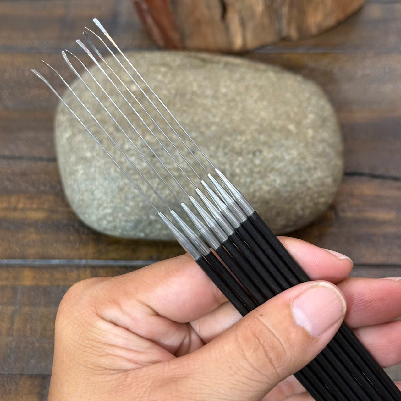 Cây Nại Ráy Tại Ráy Tai Siêu Nhỏ Ráy Màng Nhỉ