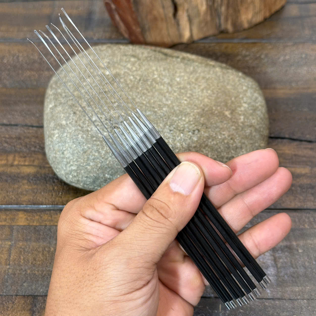 Cây Nại Ráy Tại Ráy Tai Siêu Nhỏ Ráy Màng Nhỉ