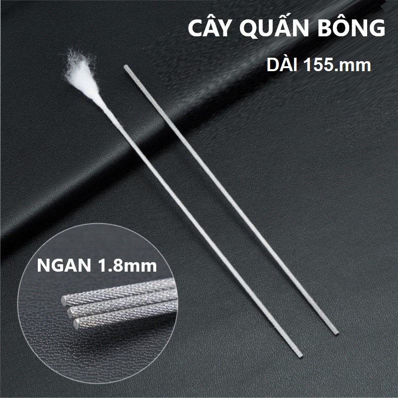 Cây Quấn Bông Ngòn Ráy Tai