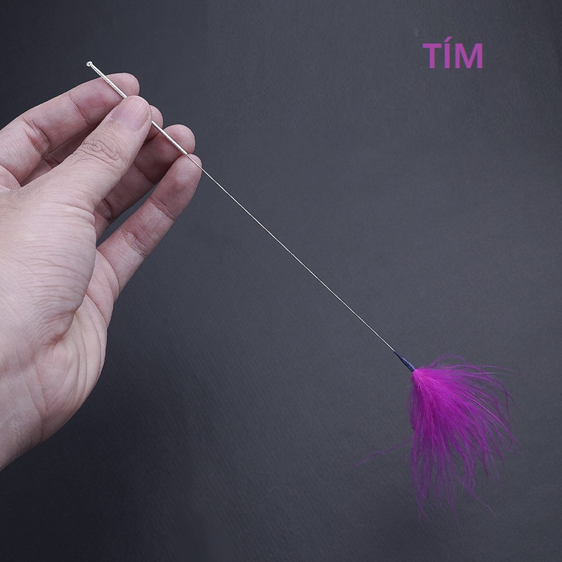 Lông vũ ngoái tai nhiều màu 687