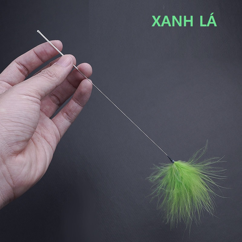 Lông vũ ngoái tai nhiều màu 687