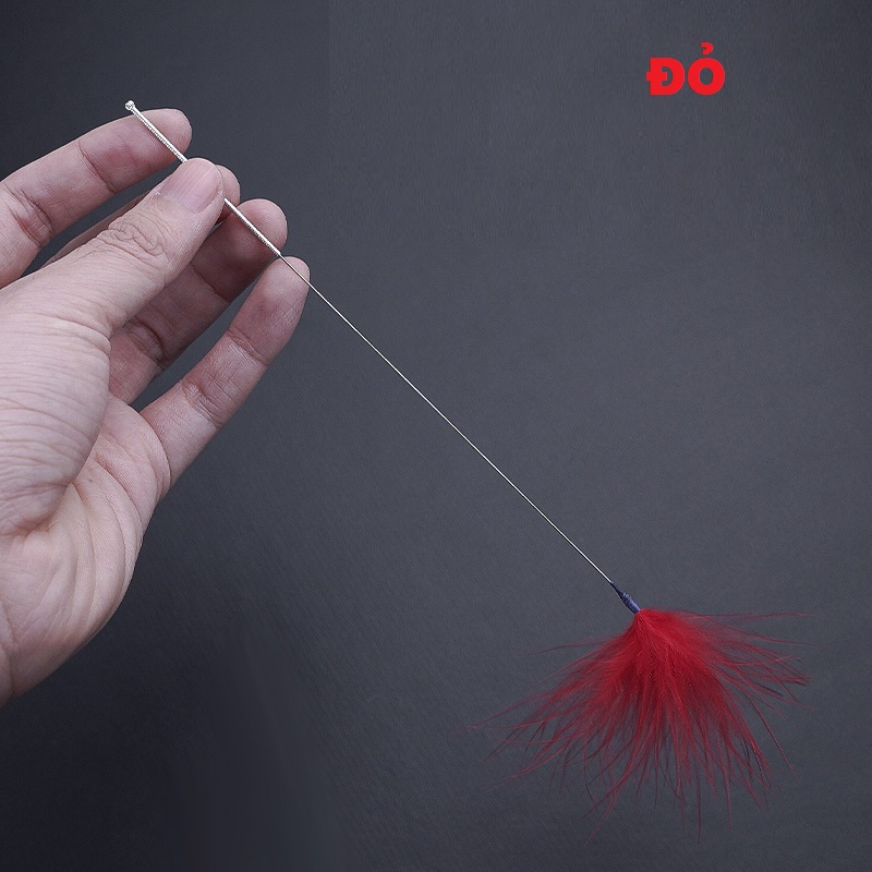 Lông vũ ngoái tai nhiều màu 687