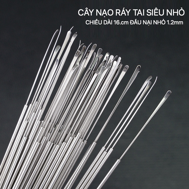Cây Nại Ráy Tai Siêu Nhỏ 16cm