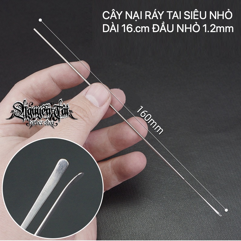 Cây Nại Ráy Tai Siêu Nhỏ 16cm