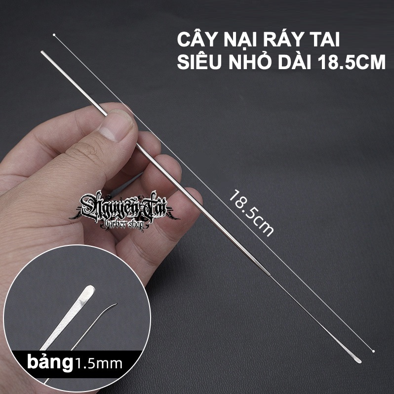 Cây Nại Ráy Tai Siêu Nhỏ 18.5cm