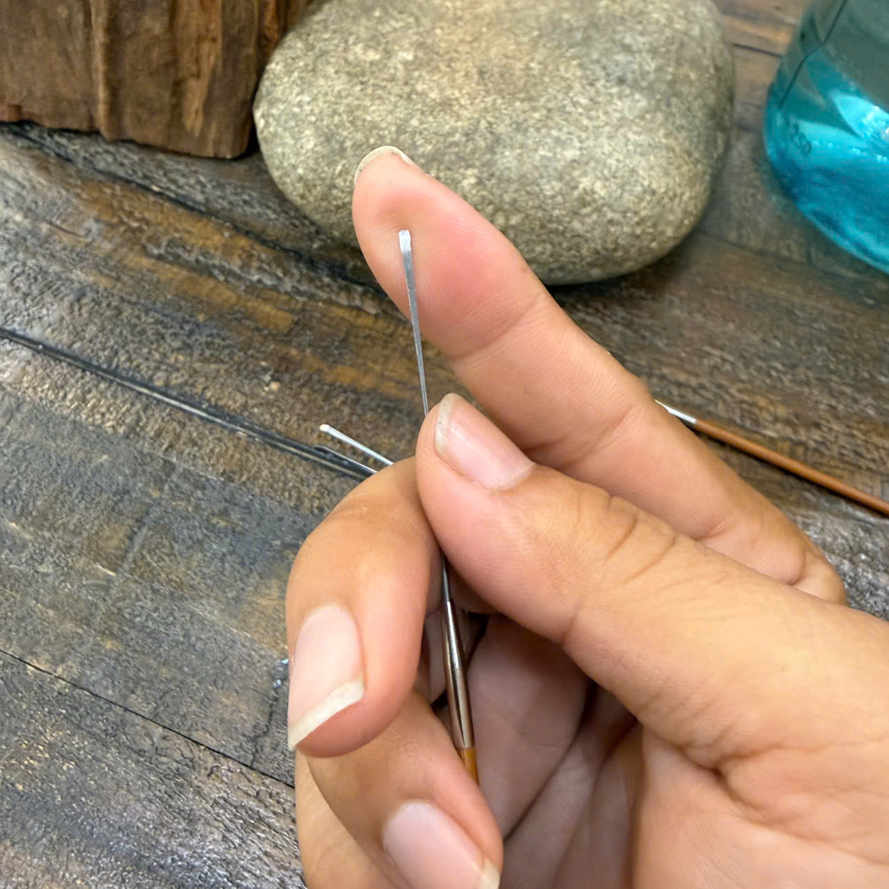 Cây Nại Ráy Tai Đầu Nhỏ  913
