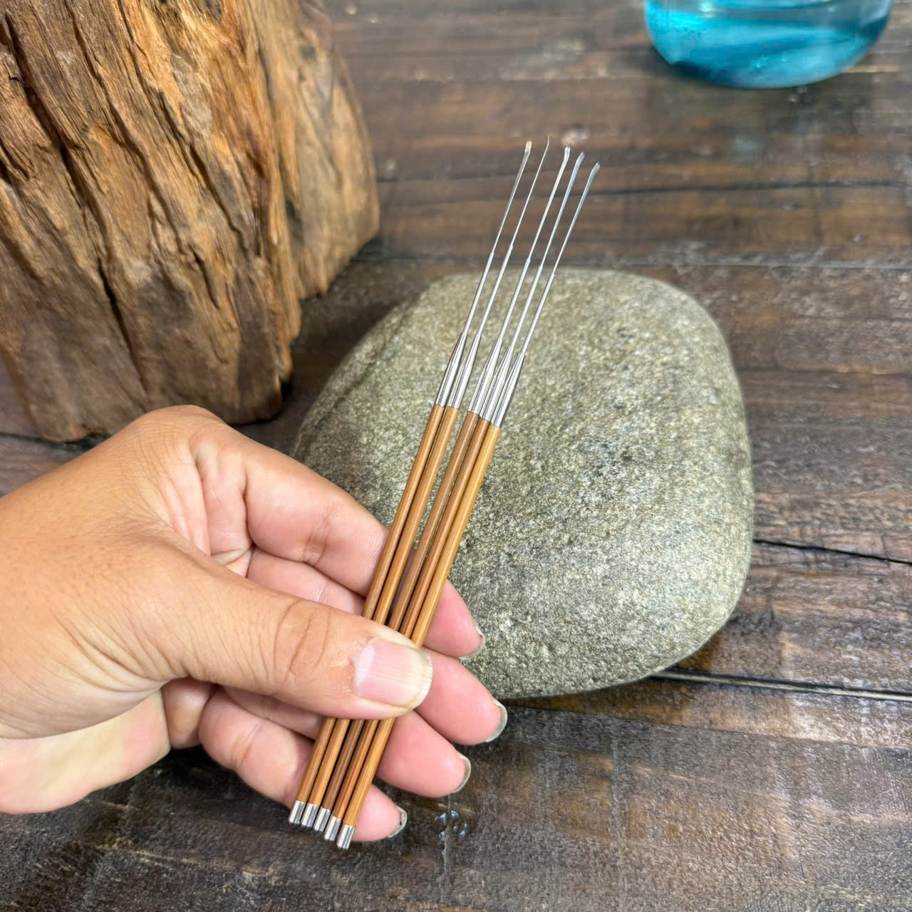 Cây Nại Ráy Tai Đầu Nhỏ  913