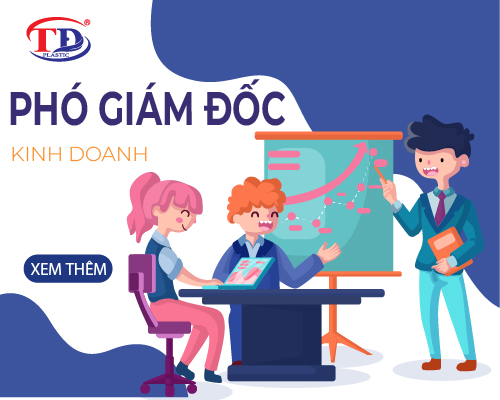 Phó Giám Đốc Công Ty (Phụ Trách Kinh Doanh)