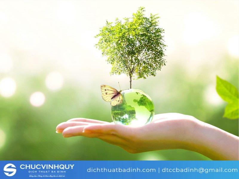Địa chỉ dịch chuyên ngành môi trường uy tín nhất ở đâu?