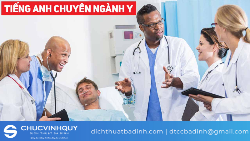 Phần mềm dịch tiếng Anh chuyên ngành y khoa