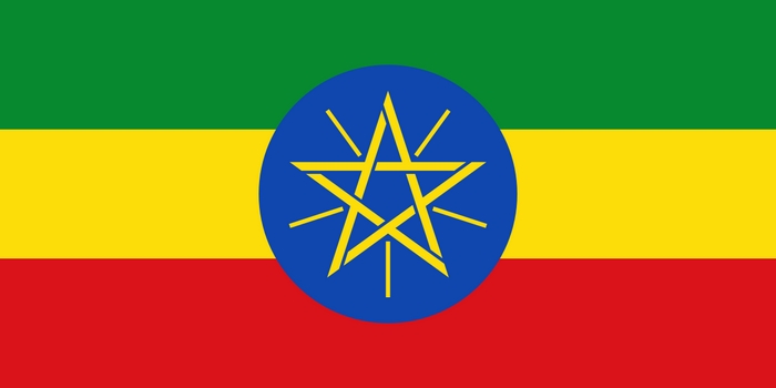 Đại sứ quán Ethiopia có trụ sở tại Việt Nam chưa?