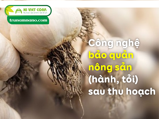 Ứng dụng KH-KT trong bảo quản hành tỏi sau thu hoạch