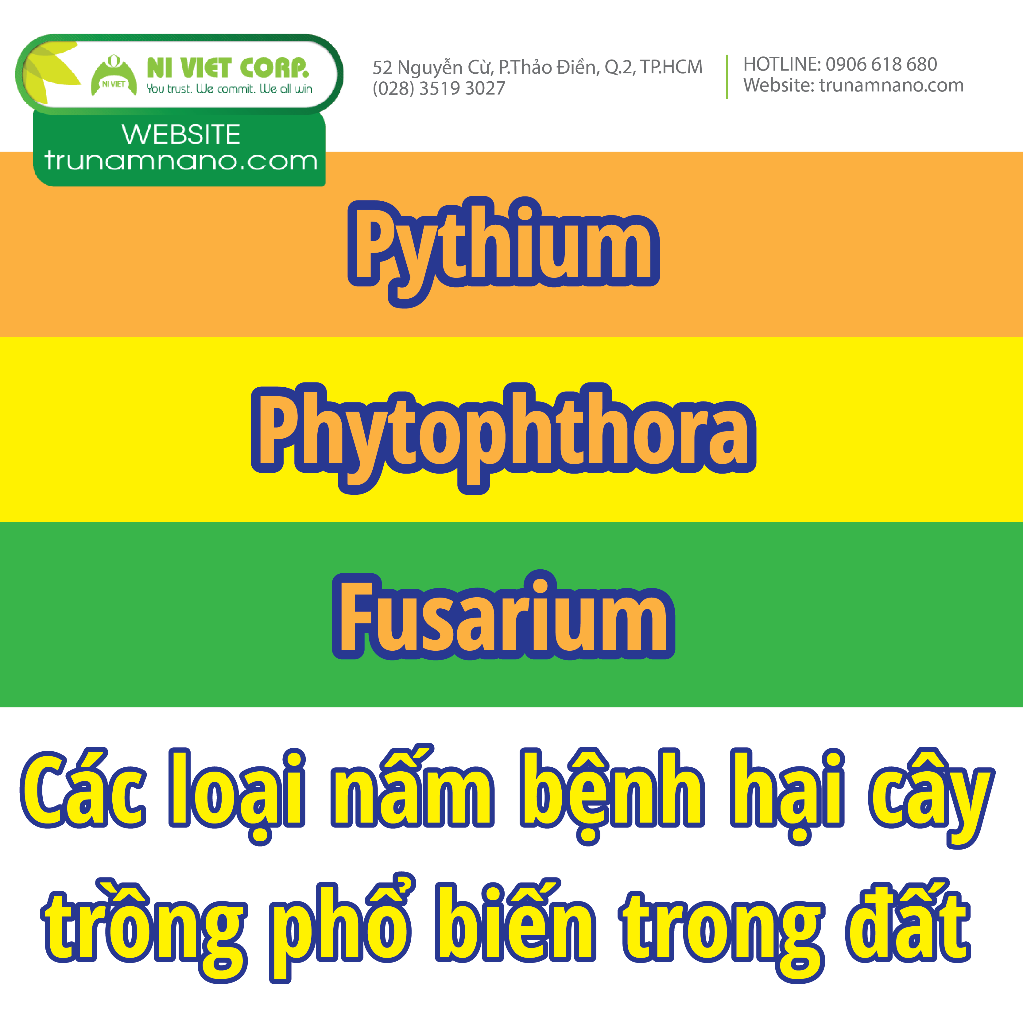 Các loại nấm bệnh hại cây trồng phổ biến trong đất