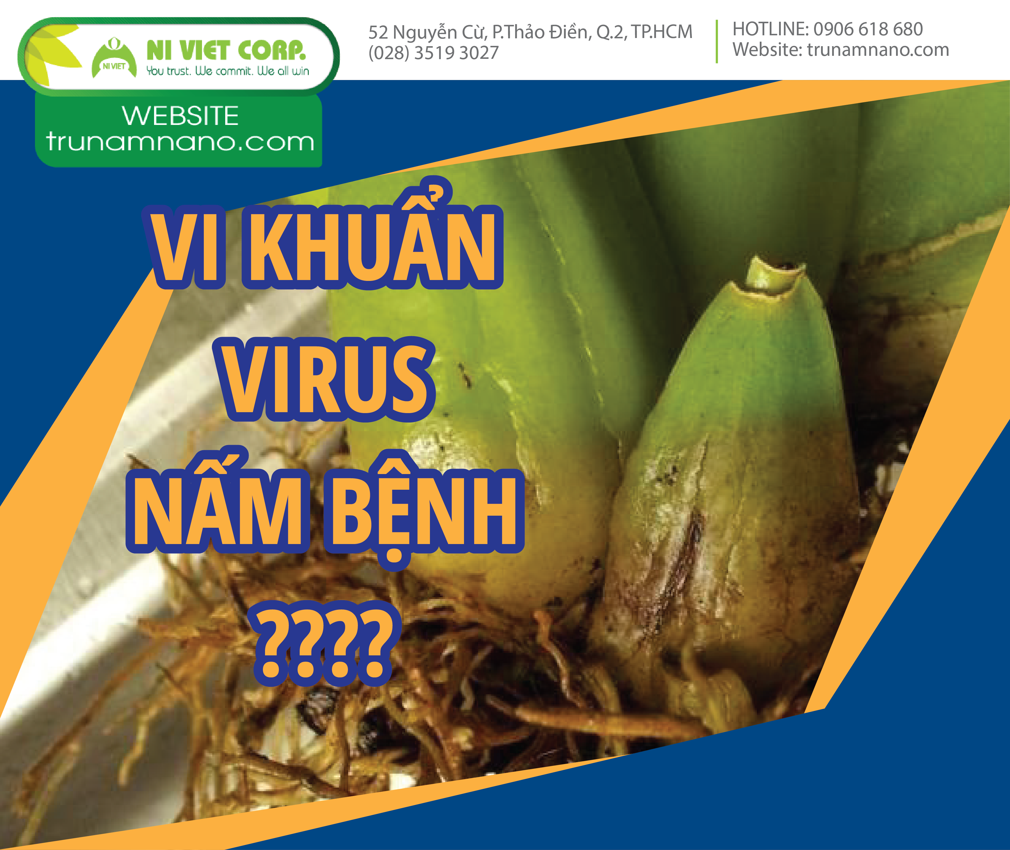 Phân biệt vi khuẩn, virus với nấm bệnh gây hại cho cây trồng