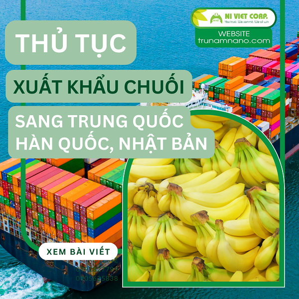 Thủ tục và quy trình xuất khẩu chuối đi Trung Quốc, Nhật Bản, Hàn Quốc